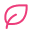 leaf-icon